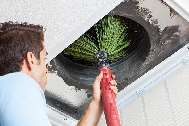 Best Air Duct Mold Removal  in , CA