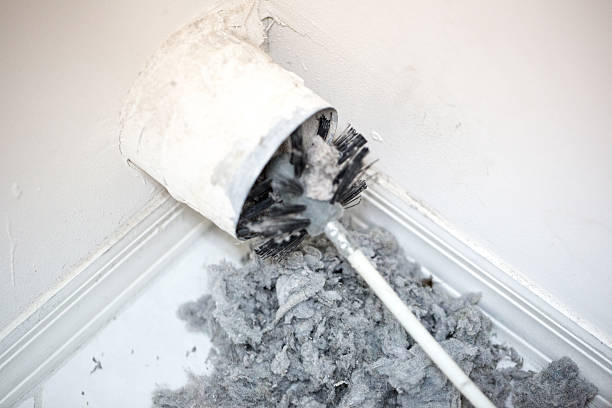 Best Emergency Air Duct Cleaning  in , CA